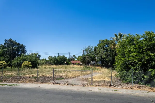 a street view with large trees