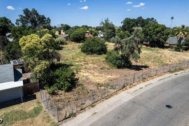 a view of a yard with a tree
