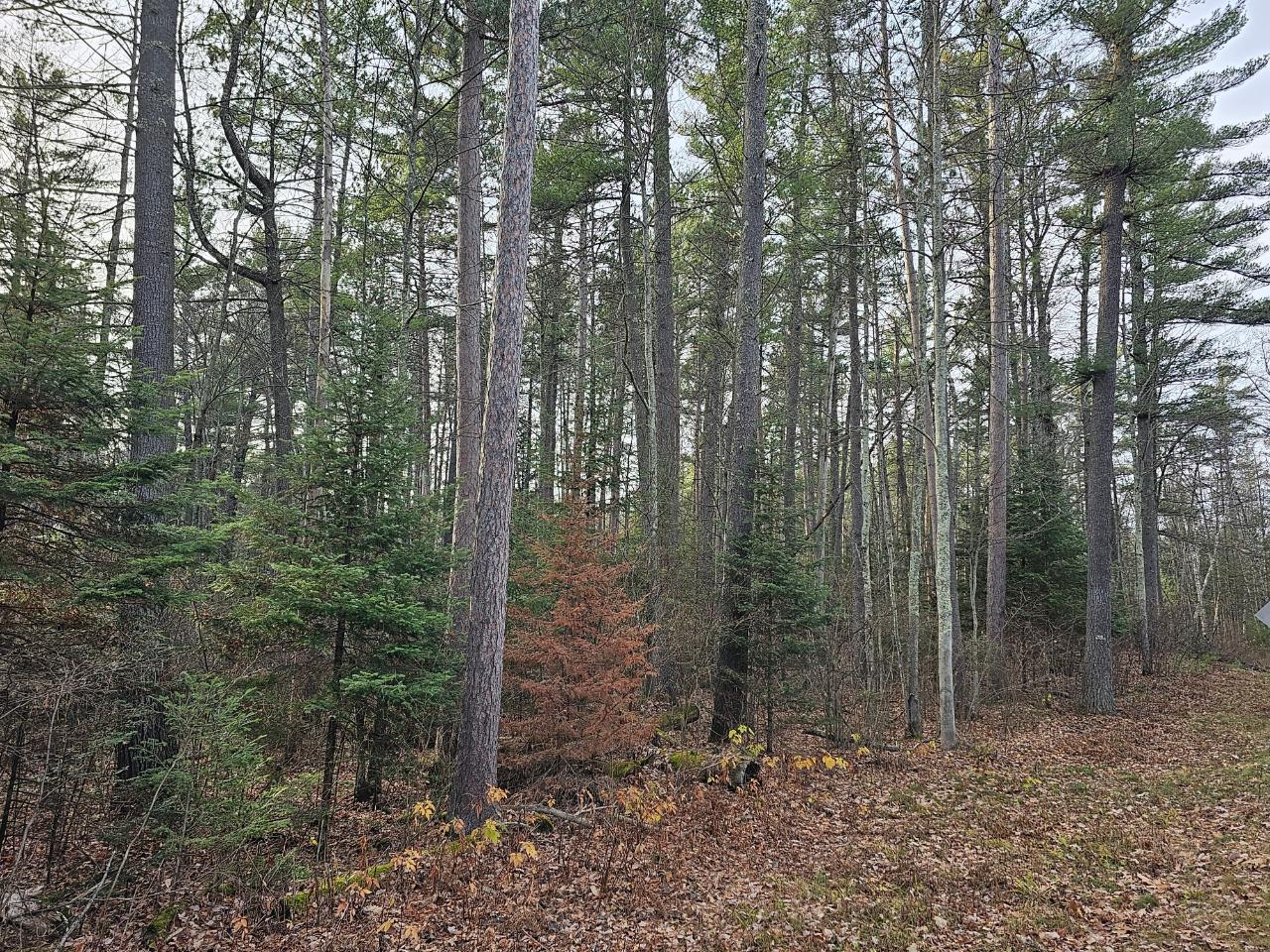 N8910 Skudris Road Tomahawk, WI 54487 - Photo 24 of 26 Gallery Image 24