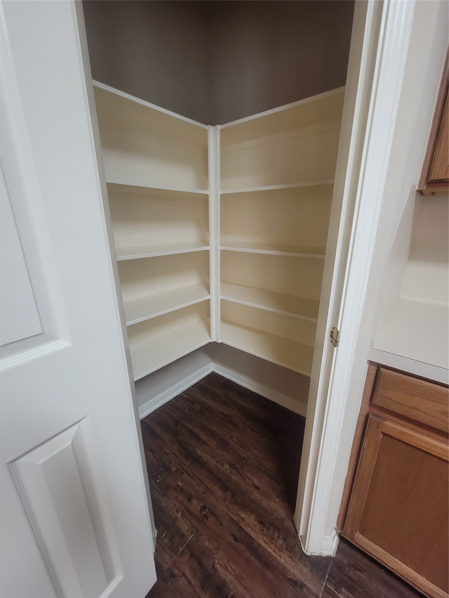 3110 Clover Ranch Circle Katy, TX 77494 - Photo 11 of 28 a view of walk in closet with empty racks