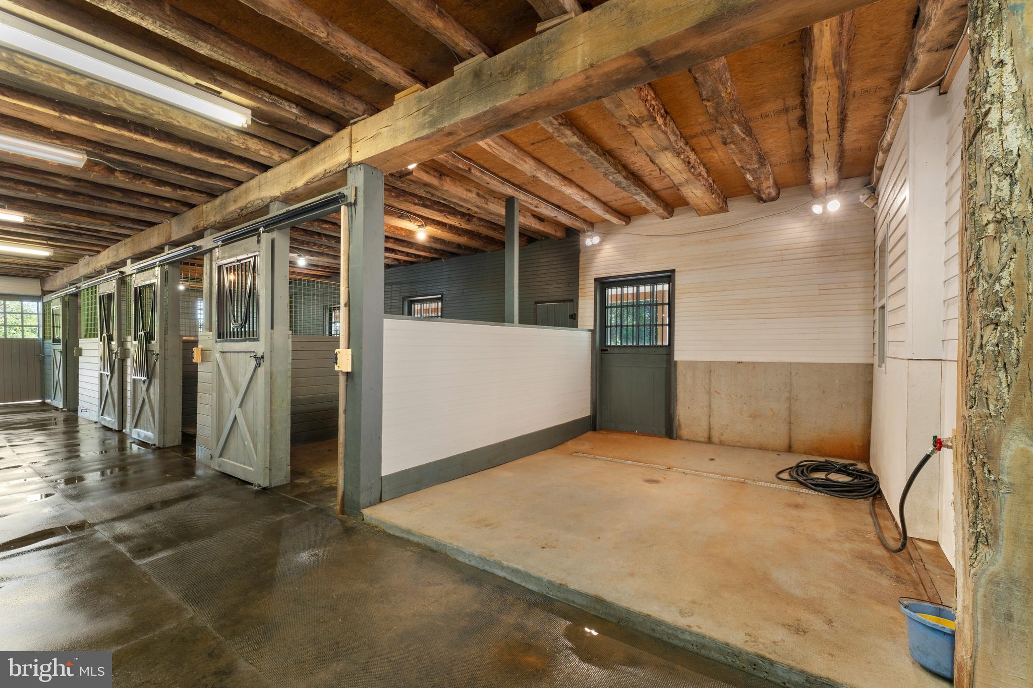 439 Rudasill Mill Road Woodville, VA 22749 - Photo 12 of 48 Wash stall with hot water and heat lamps