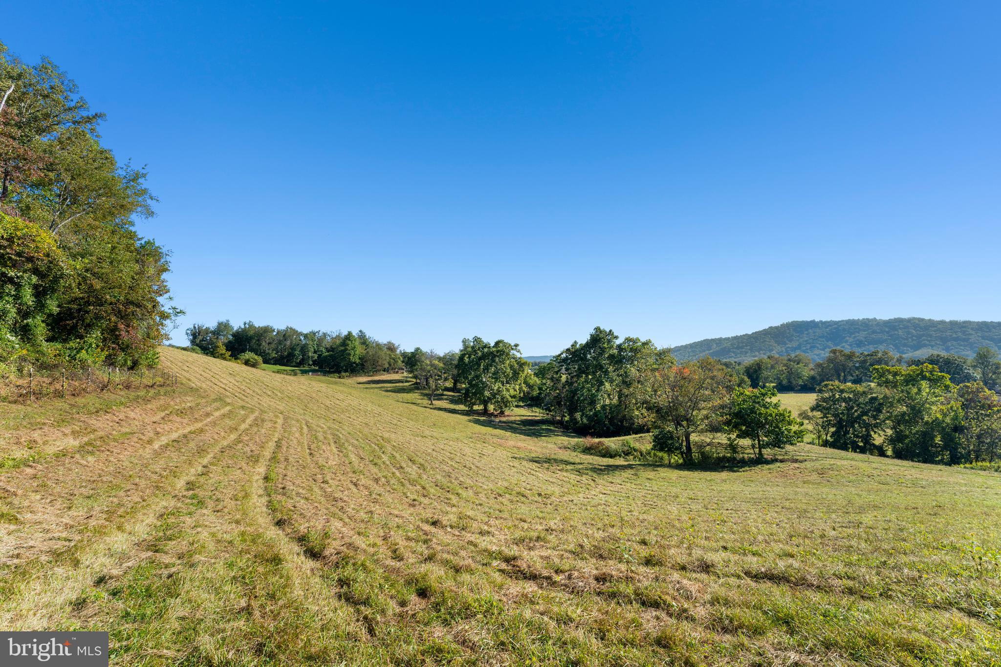 439 Rudasill Mill Road Woodville, VA 22749 - Photo 20 of 48 Mountain views including Red Oak Mountain and more
