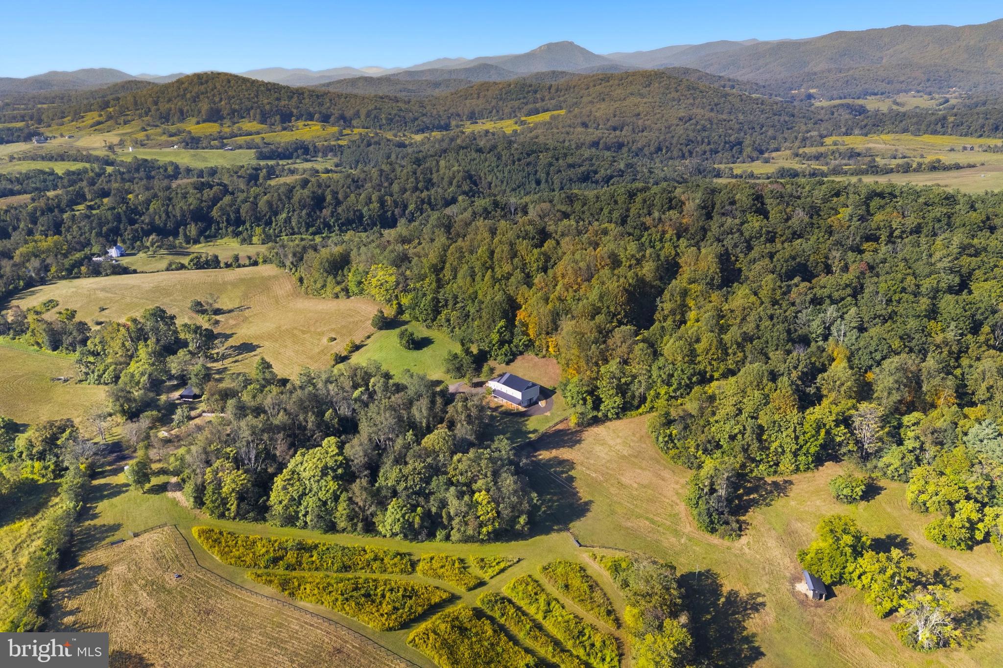 439 Rudasill Mill Road Woodville, VA 22749 - Photo 3 of 48 Beautiful, varied rolling terrain