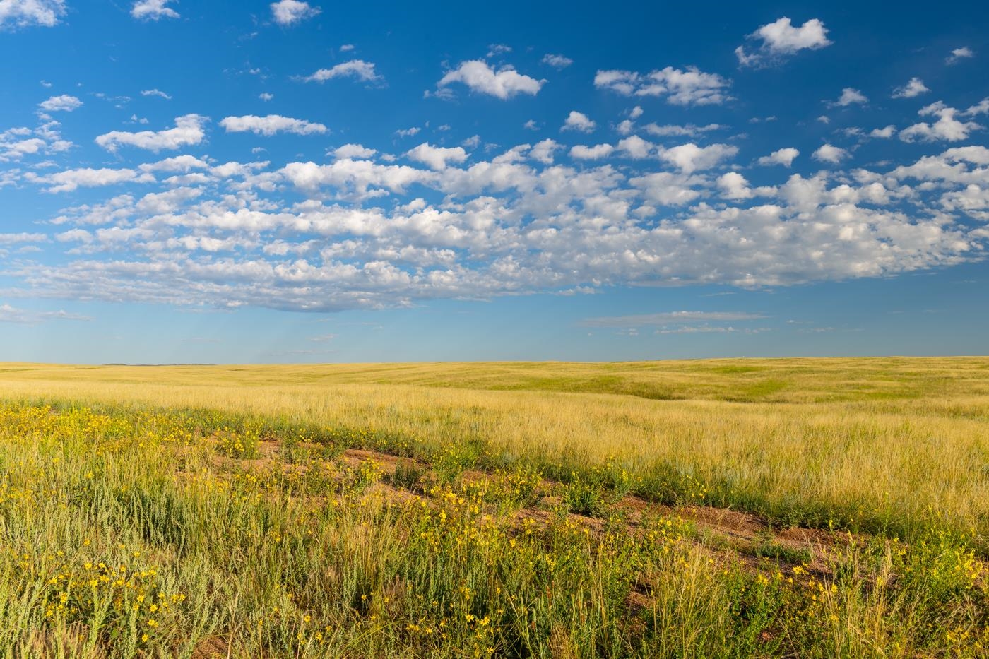 334 Bering Road Cheyenne, WY 82009 - Photo 3 of 26