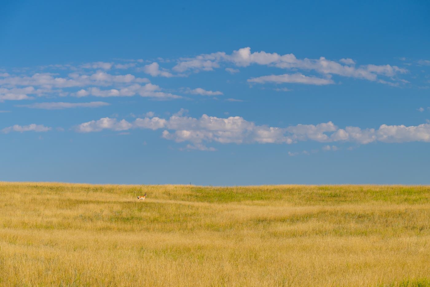 334 Bering Road Cheyenne, WY 82009 - Photo 4 of 26