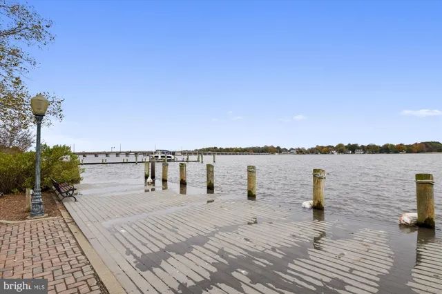 a view of a lake with boats and trees in the background