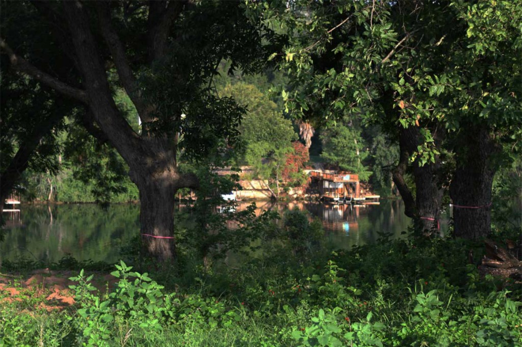 14508 Flat Top Ranch Road Austin, TX 78732 - Photo 1 of 1 a view of a tree in a garden