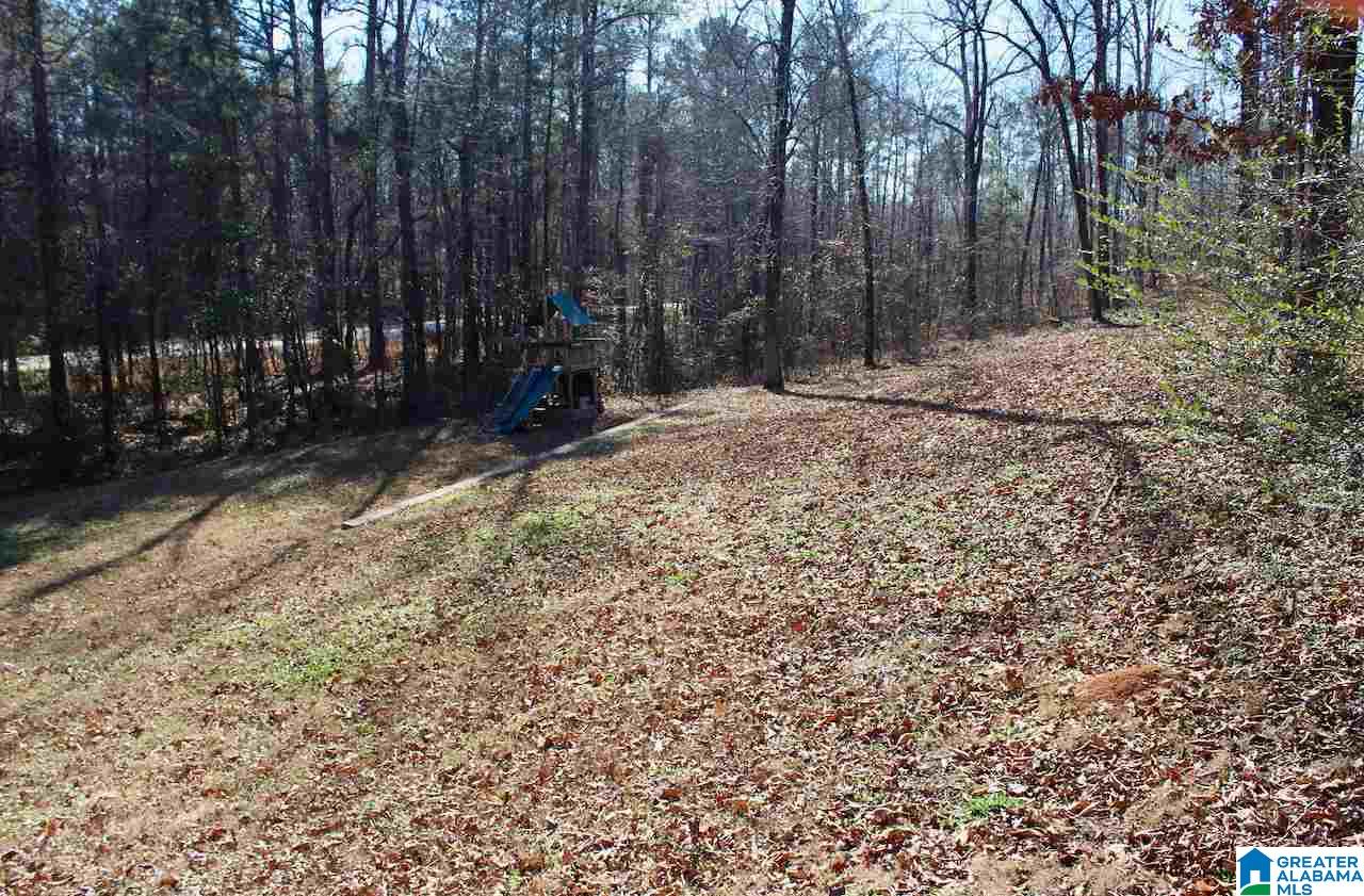 101 Orchard Lane Helena, AL 35080 - Photo 33 of 38
