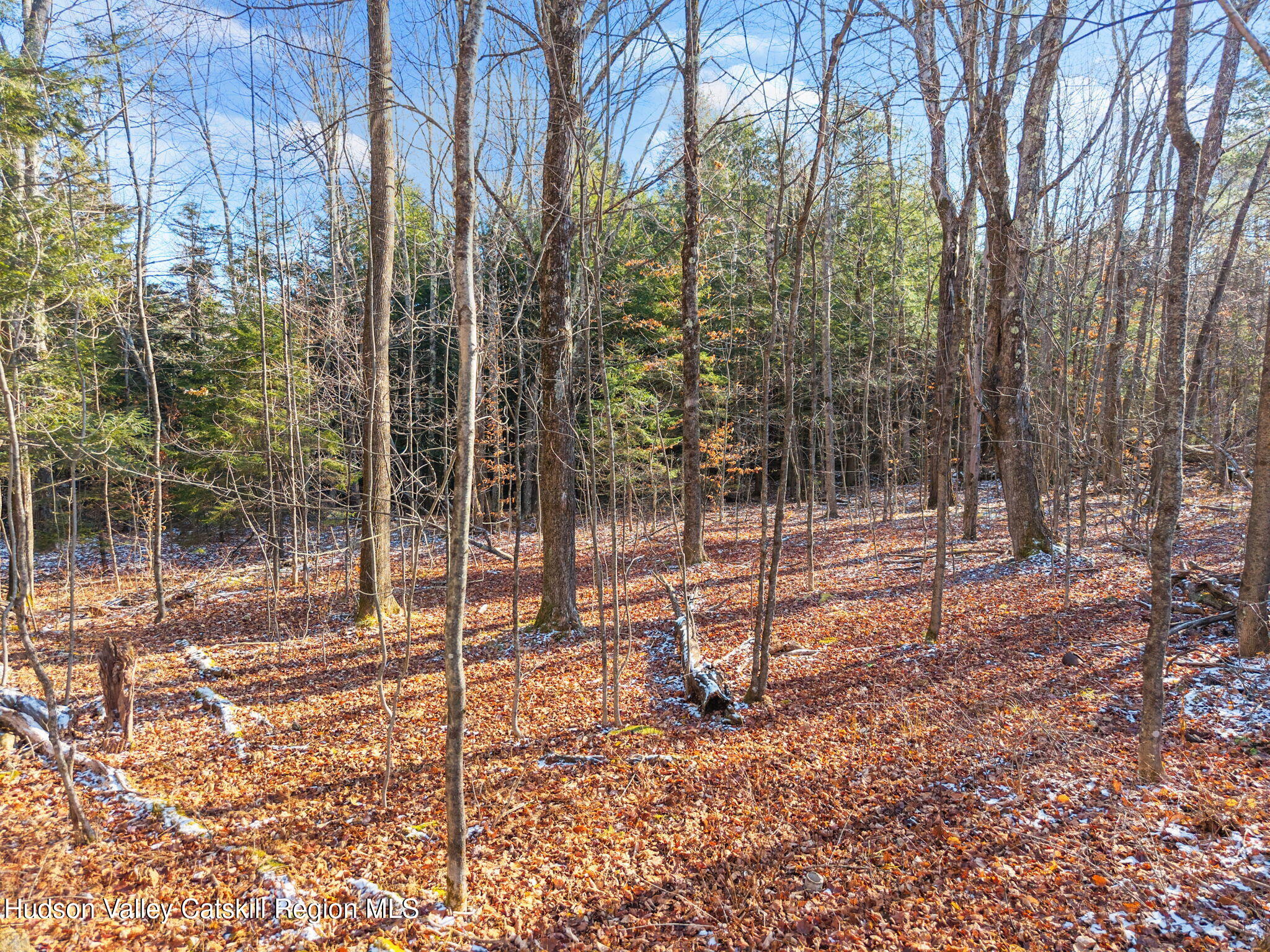 403 Blueberry Hill Road Middleburgh, NY 12122 - Photo 42 of 50 a backyard of a house with lots of green space