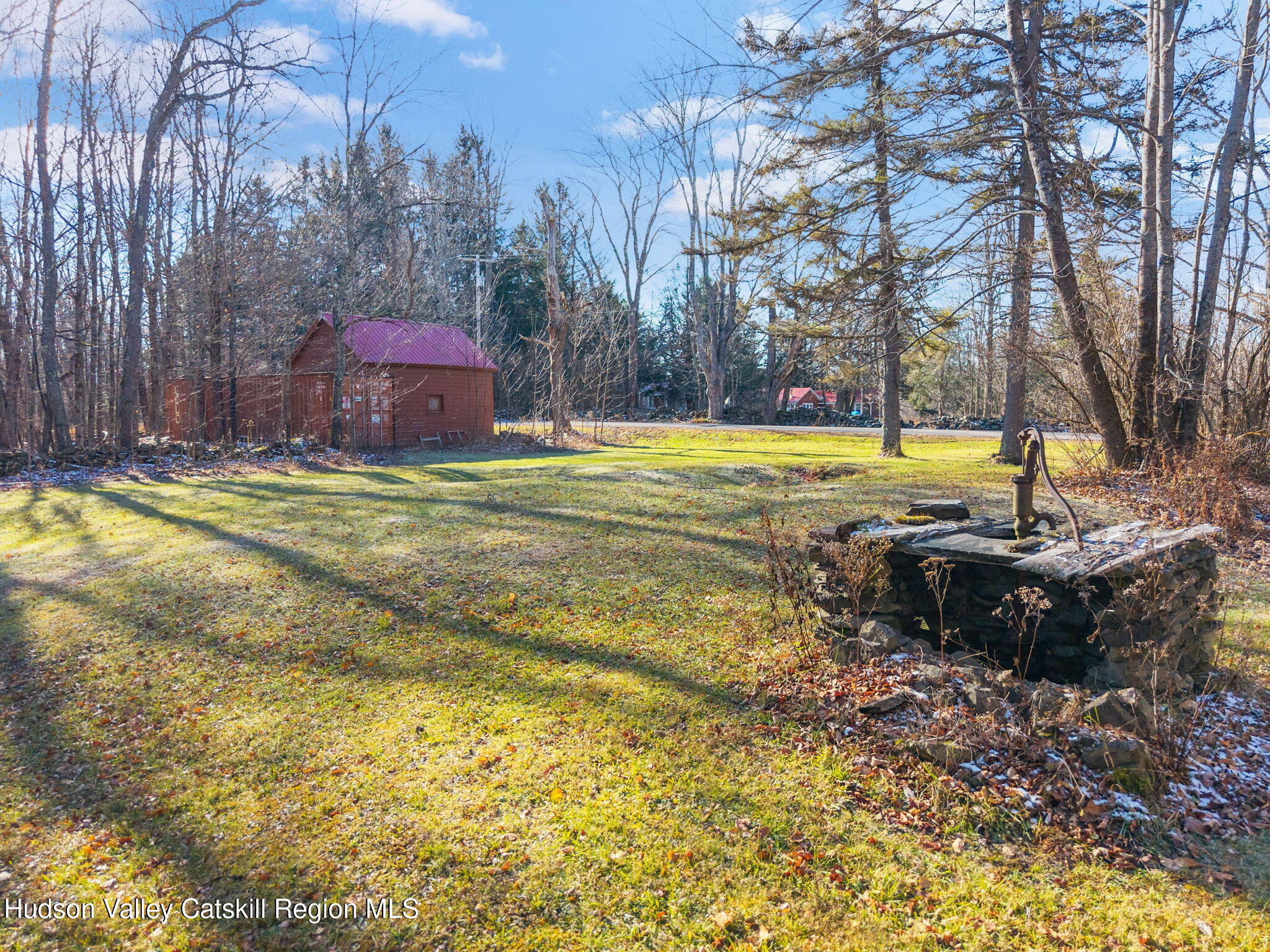 403 Blueberry Hill Road Middleburgh, NY 12122 - Photo 43 of 50 a view of a swimming pool and trees in the background