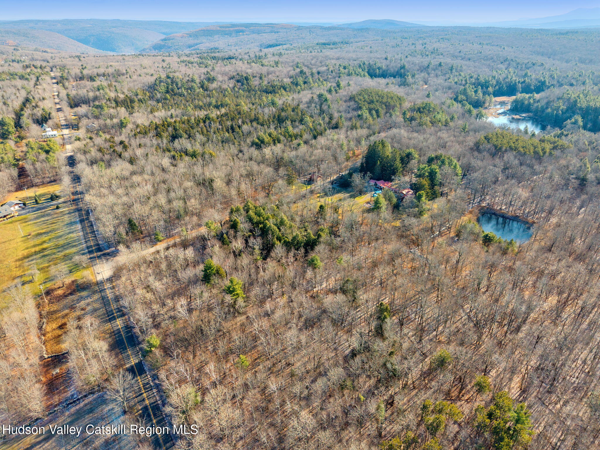 403 Blueberry Hill Road Middleburgh, NY 12122 - Photo 44 of 50 an aerial view of forest
