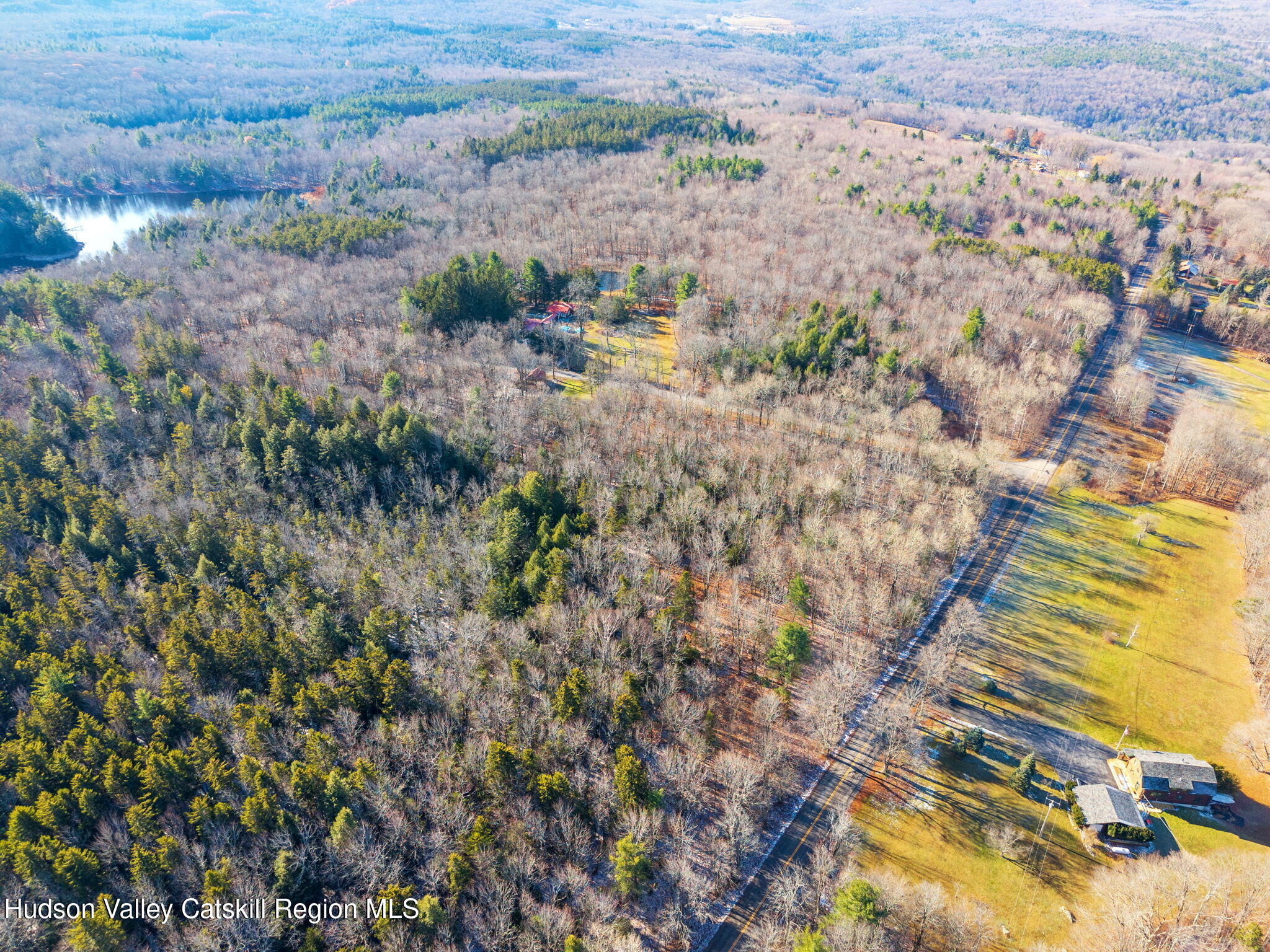 403 Blueberry Hill Road Middleburgh, NY 12122 - Photo 48 of 50 a view of a yard with plants and large trees