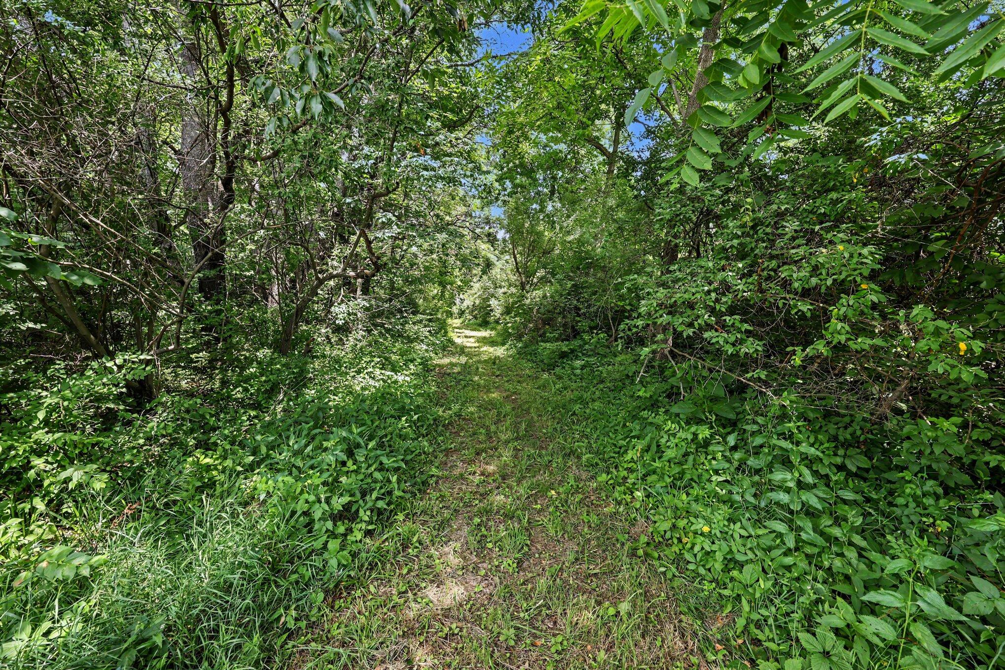 4794 Seymour Road Jackson, MI 49201 - Photo 27 of 48 024_file_5833