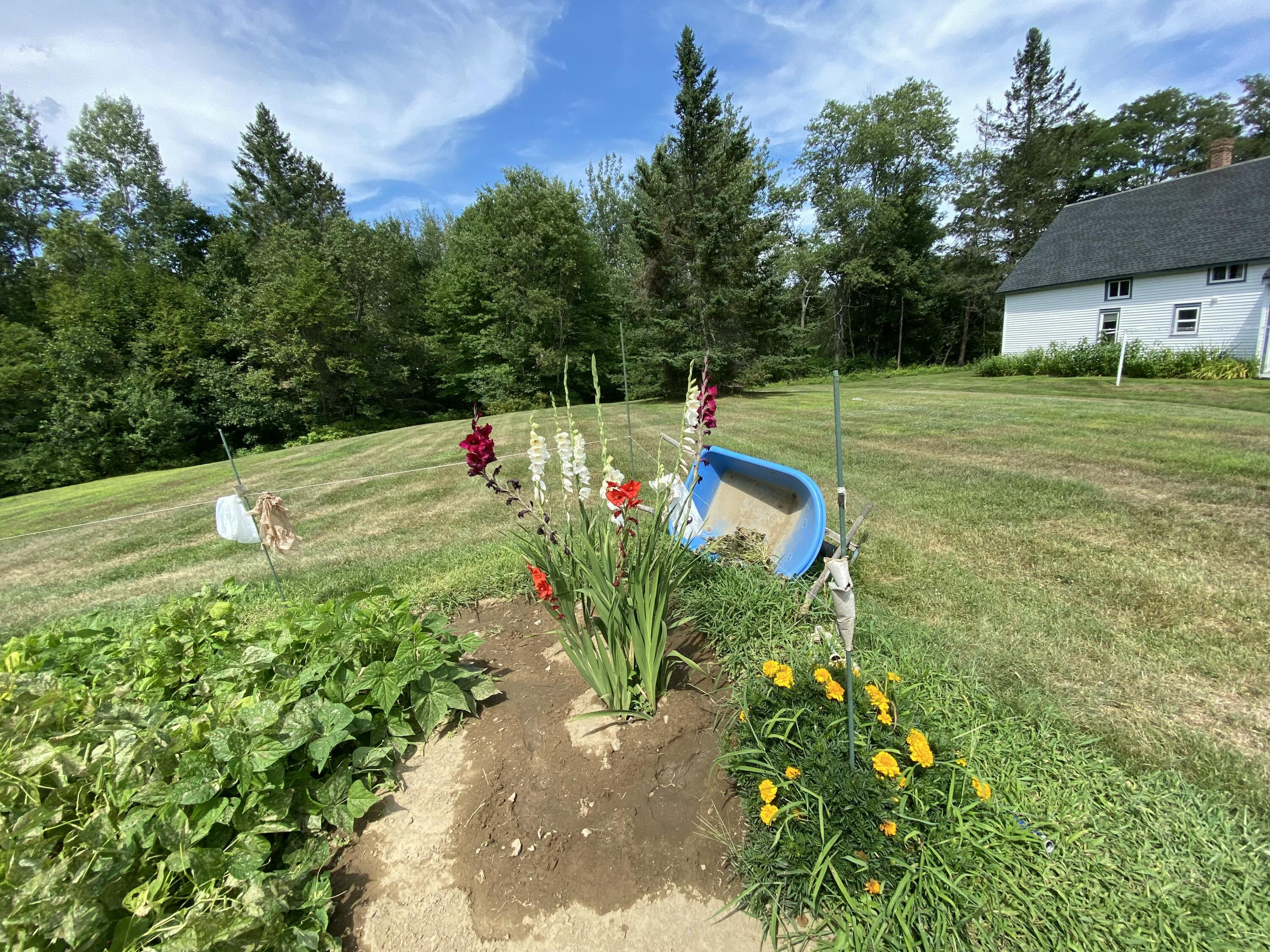 1014 Bennoch Road Old Town, ME 04468 - Photo 52 of 55 IMG_3717
