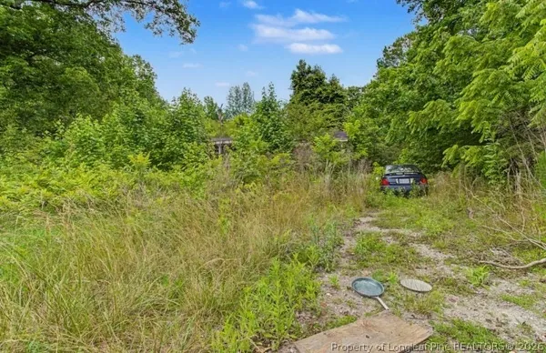 a view of a garden with plants and a small yard