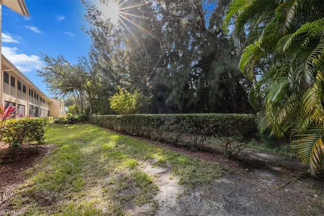 a view of yard with green space