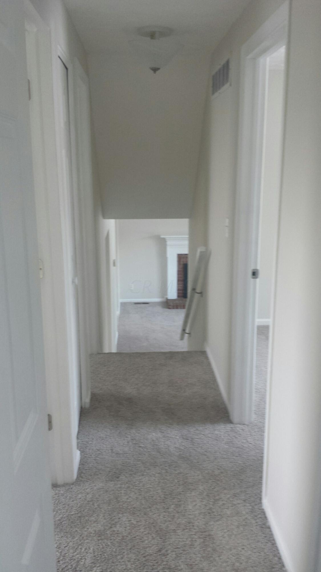 8738 Ripton Drive Powell, OH 43065 - Photo 11 of 20 Gallery Image 11