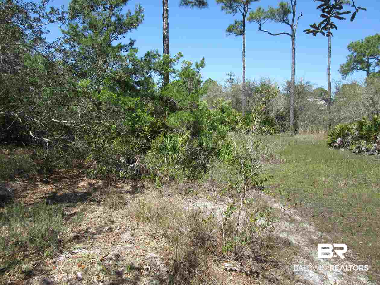 Zeanah Road Gulf Shores, AL 36542 - Photo 1 of 15
