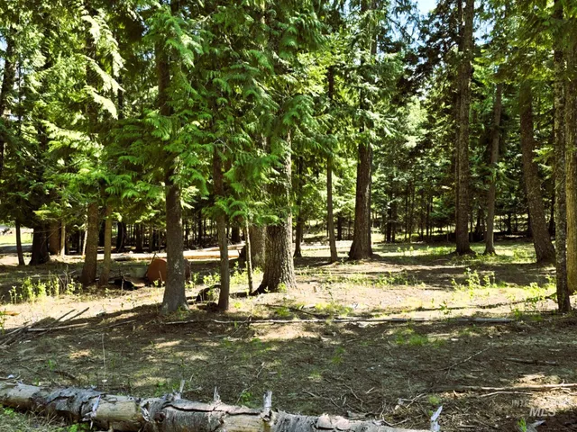 $575,000 | 68 Panorama Drive, Lenore, ID 83541