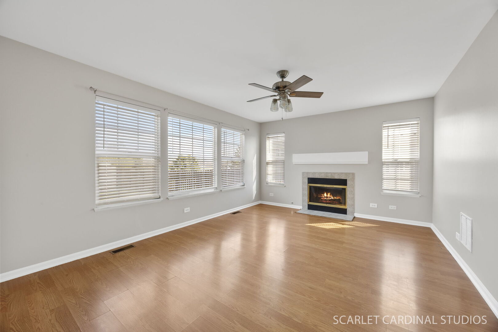 413 Blue Ridge Drive Oswego, IL 60543 - Photo 11 of 27