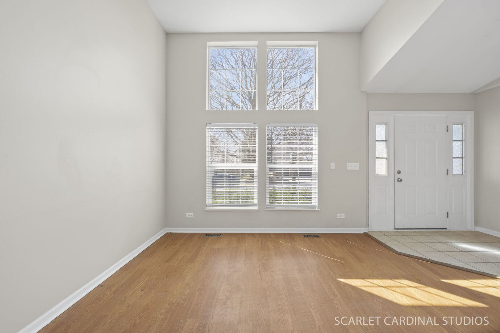 413 Blue Ridge Drive Oswego, IL 60543 - Photo 4 of 27