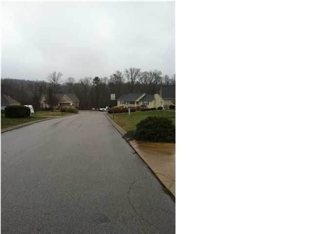 6537 Rolling River Road Harrison, TN 37341 - Photo 21 of 22 Additional Photo