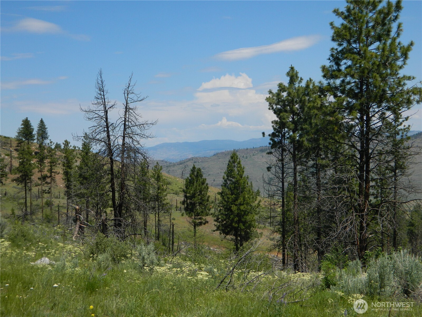 428 5 Mile Road Tonasket, WA 98855 - Photo 11 of 11