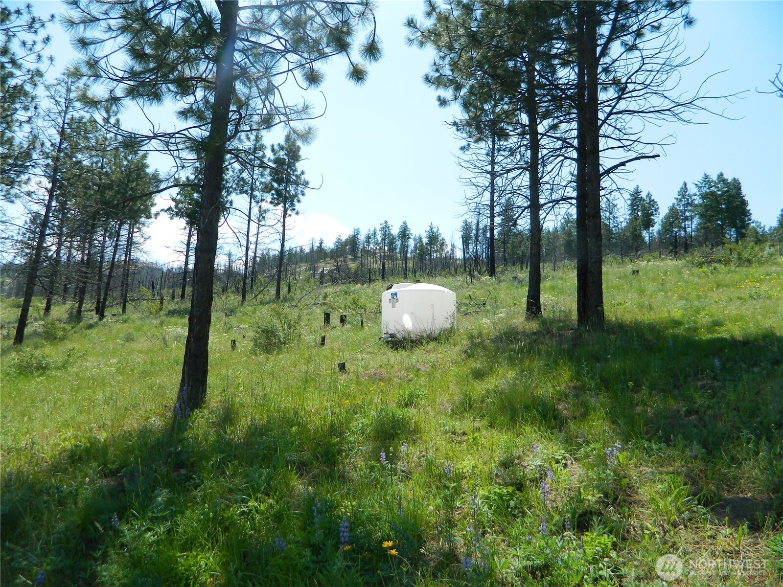 428 5 Mile Road Tonasket, WA 98855 - Photo 2 of 11