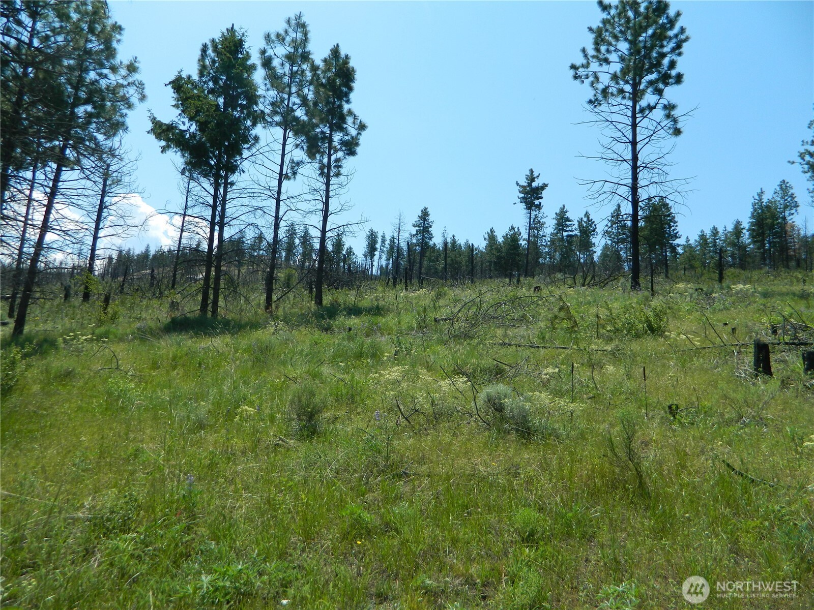 428 5 Mile Road Tonasket, WA 98855 - Photo 3 of 11