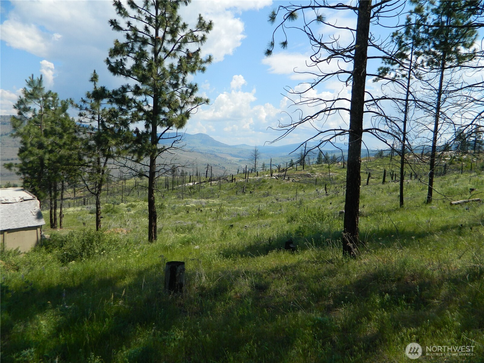 428 5 Mile Road Tonasket, WA 98855 - Photo 4 of 11