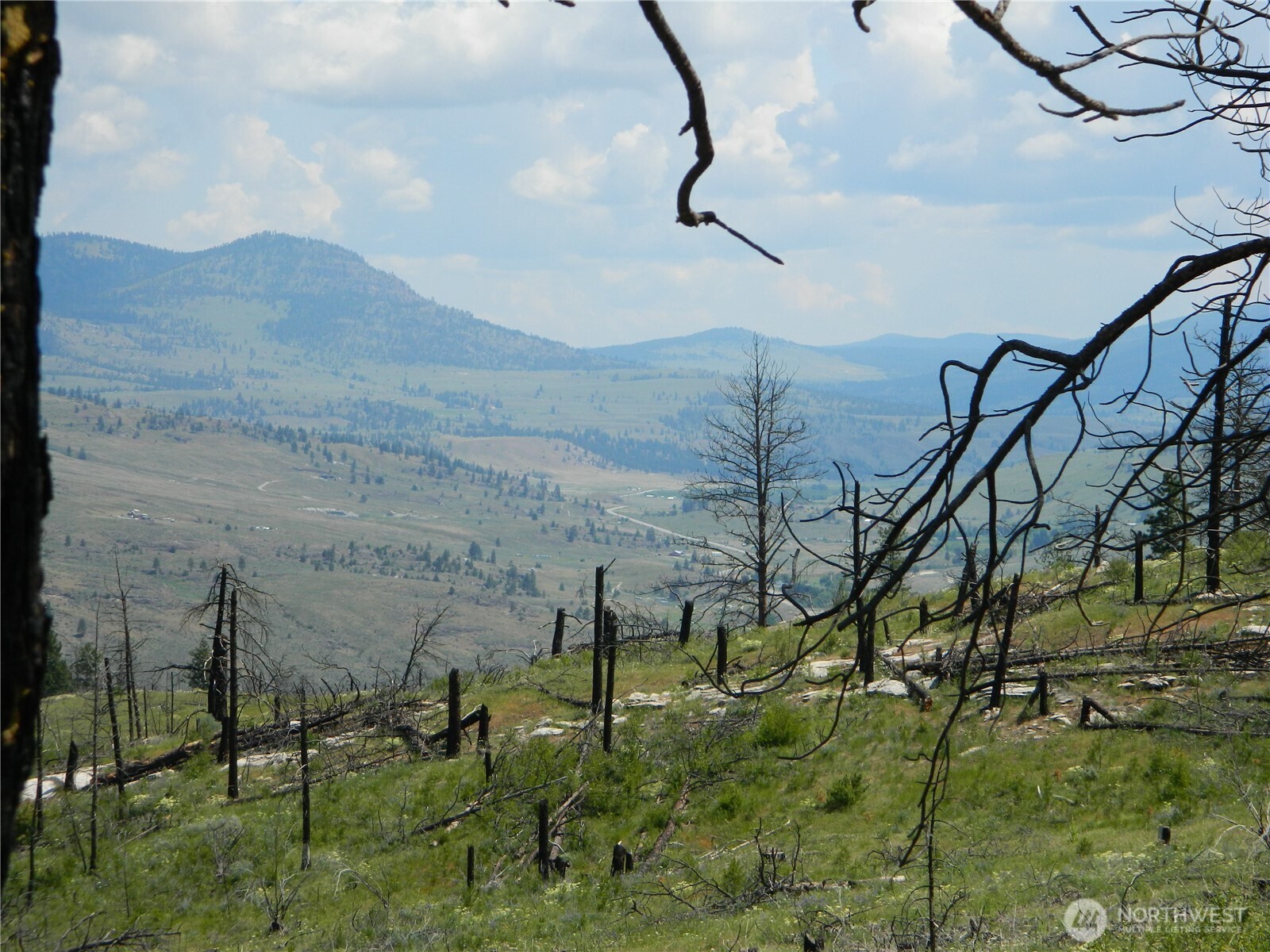 428 5 Mile Road Tonasket, WA 98855 - Photo 6 of 11