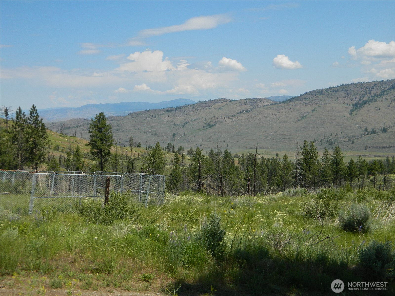 428 5 Mile Road Tonasket, WA 98855 - Photo 7 of 11