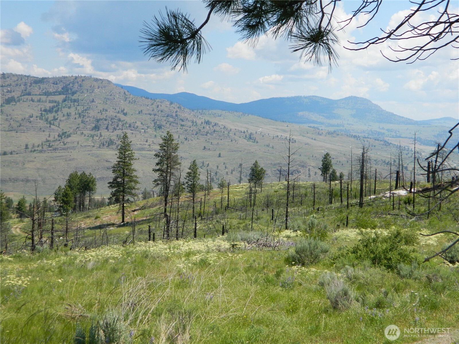 428 5 Mile Road Tonasket, WA 98855 - Photo 8 of 11