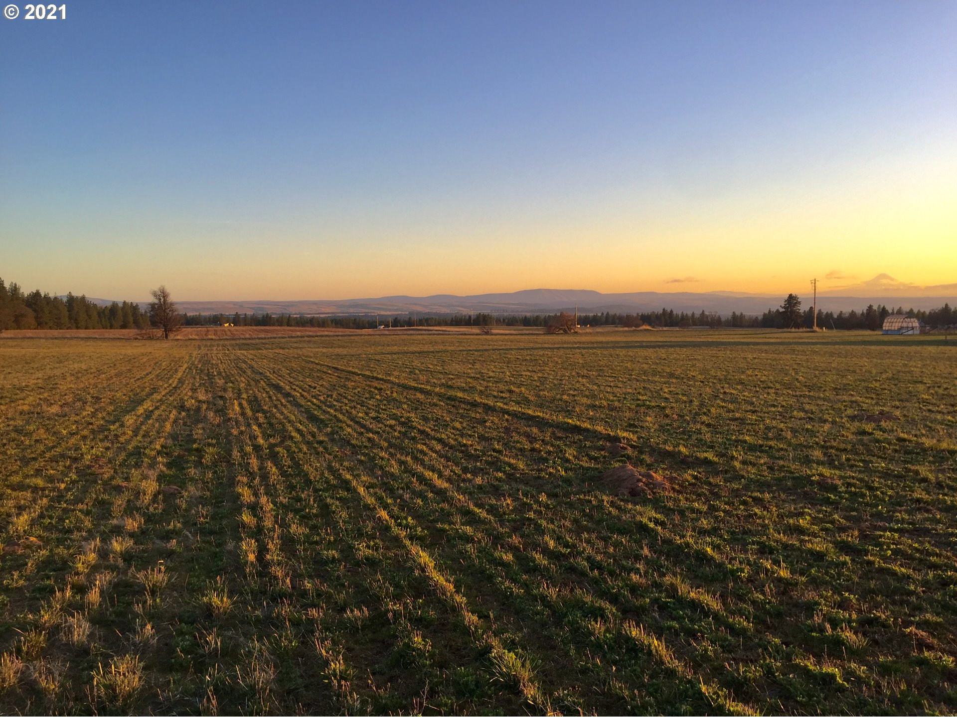 Buena Vista Road Goldendale, WA 98620 - Photo 3 of 10 Gallery Image 3