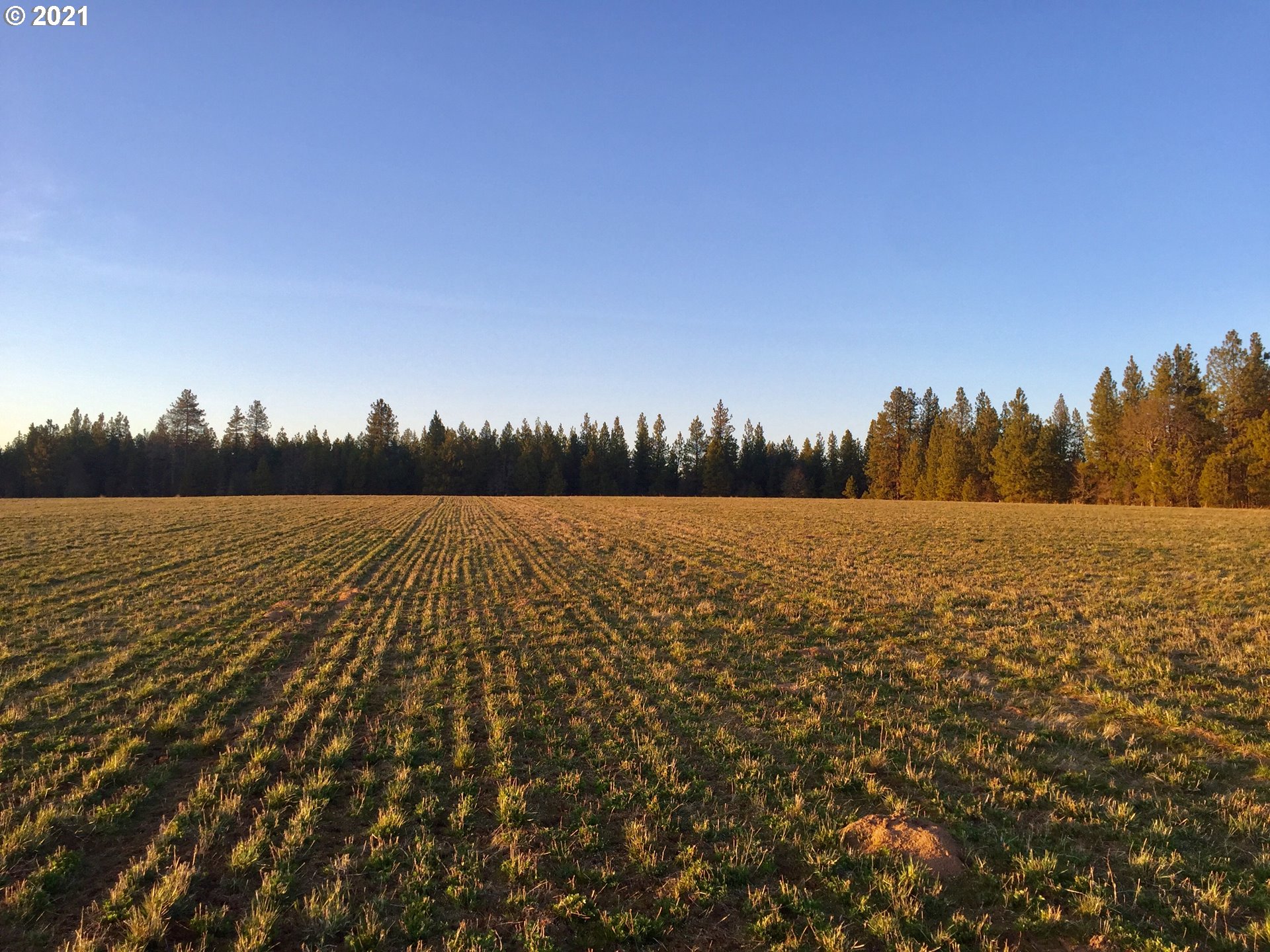 Buena Vista Road Goldendale, WA 98620 - Photo 4 of 10 Gallery Image 4