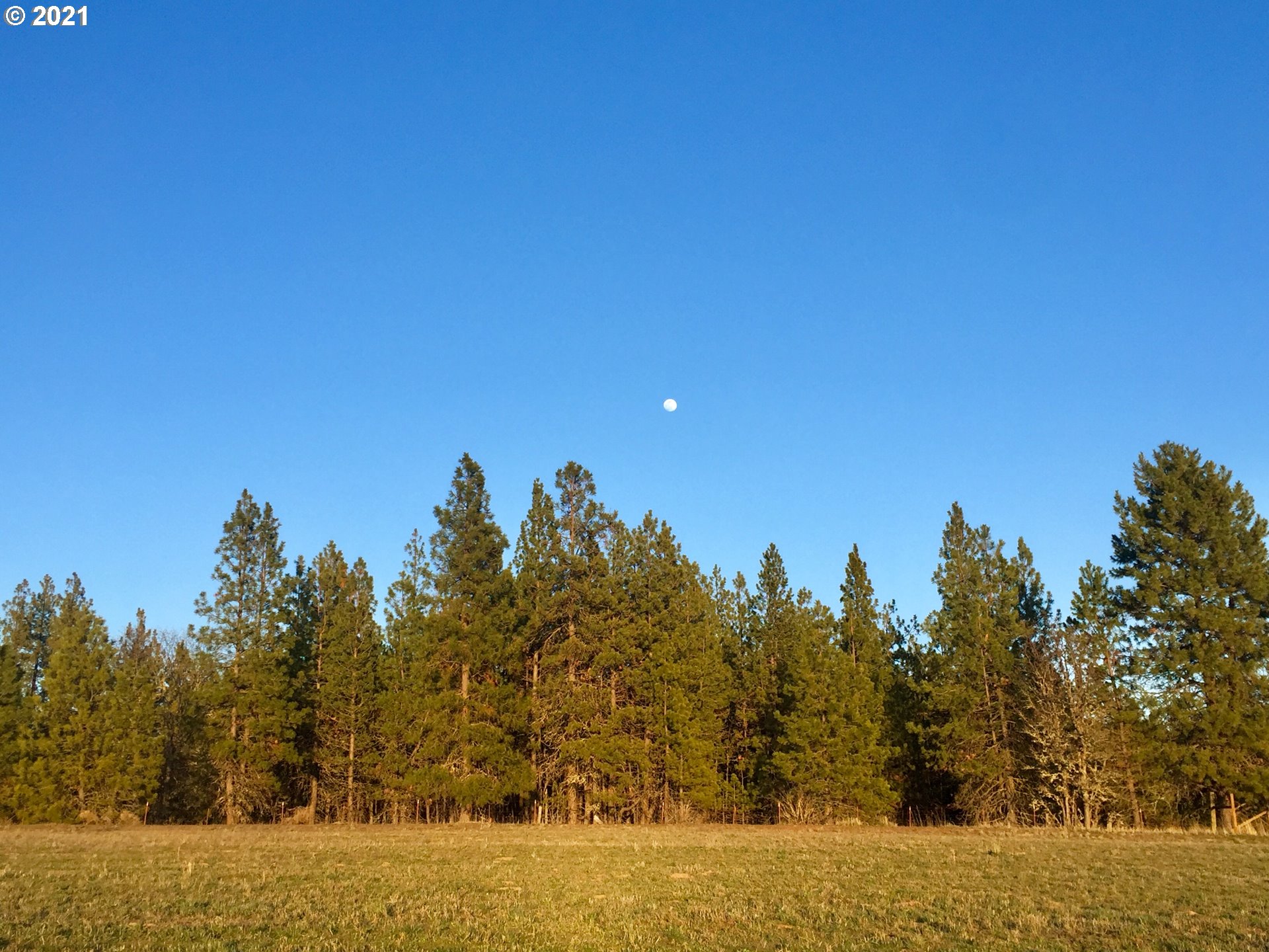 Buena Vista Road Goldendale, WA 98620 - Photo 5 of 10 Gallery Image 5