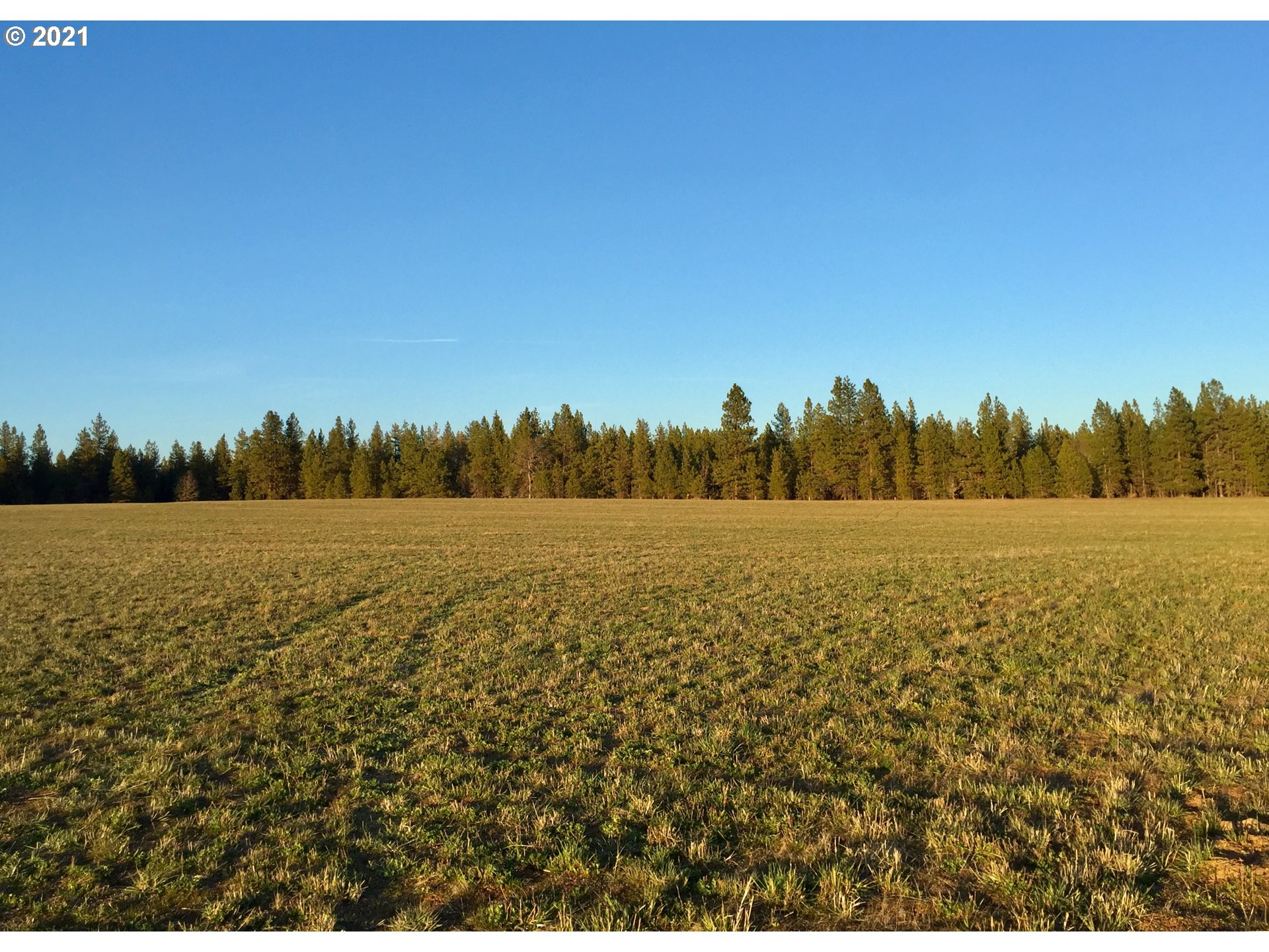 Buena Vista Road Goldendale, WA 98620 - Photo 6 of 10 Gallery Image 6