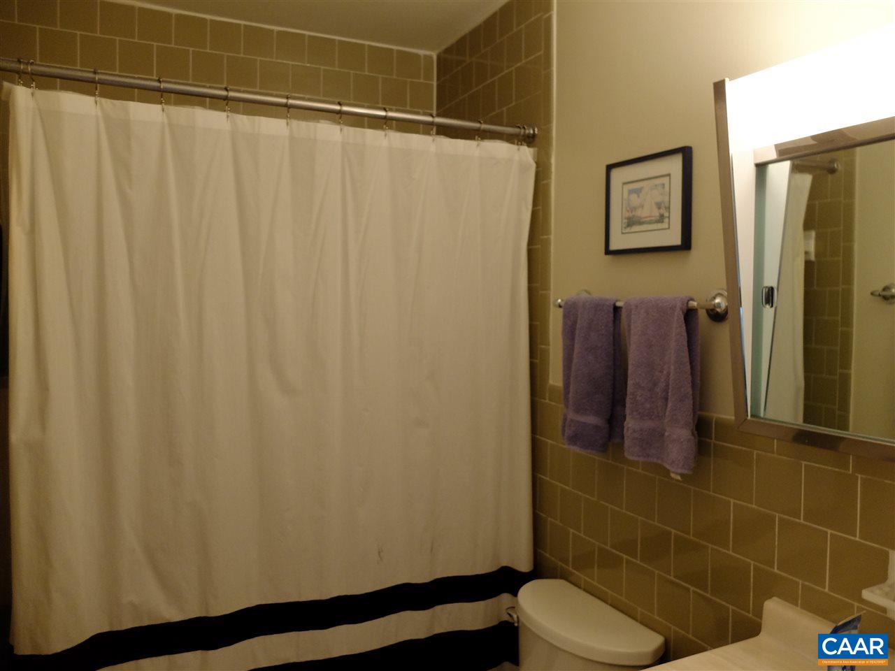 115 Hessian Hills Ridge, Unit 3 Charlottesville, VA 22901 - Photo 6 of 22 a bathroom with a shower curtain and sink