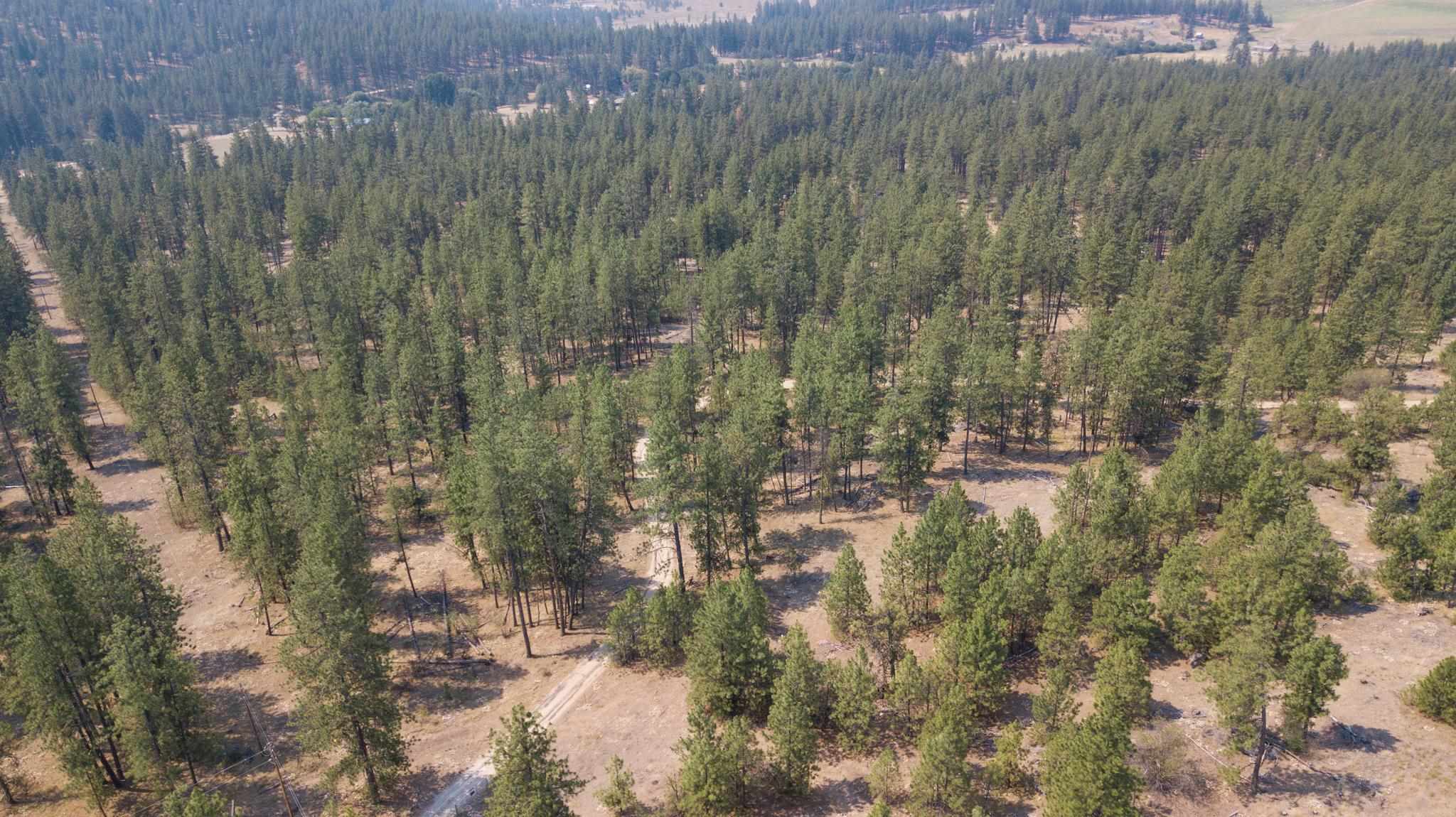 5881 H Carey Road Tumtum, WA 99034 - Photo 27 of 30 Gallery Image 27