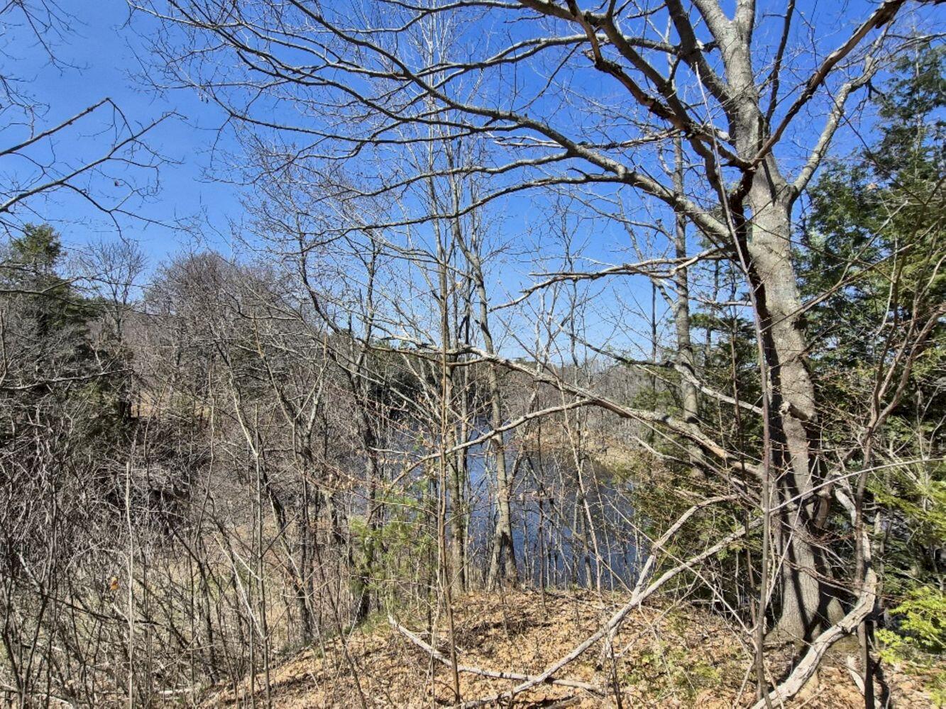 55 Cape Cod Hill Road New Sharon, ME 04955 - Photo 65 of 78