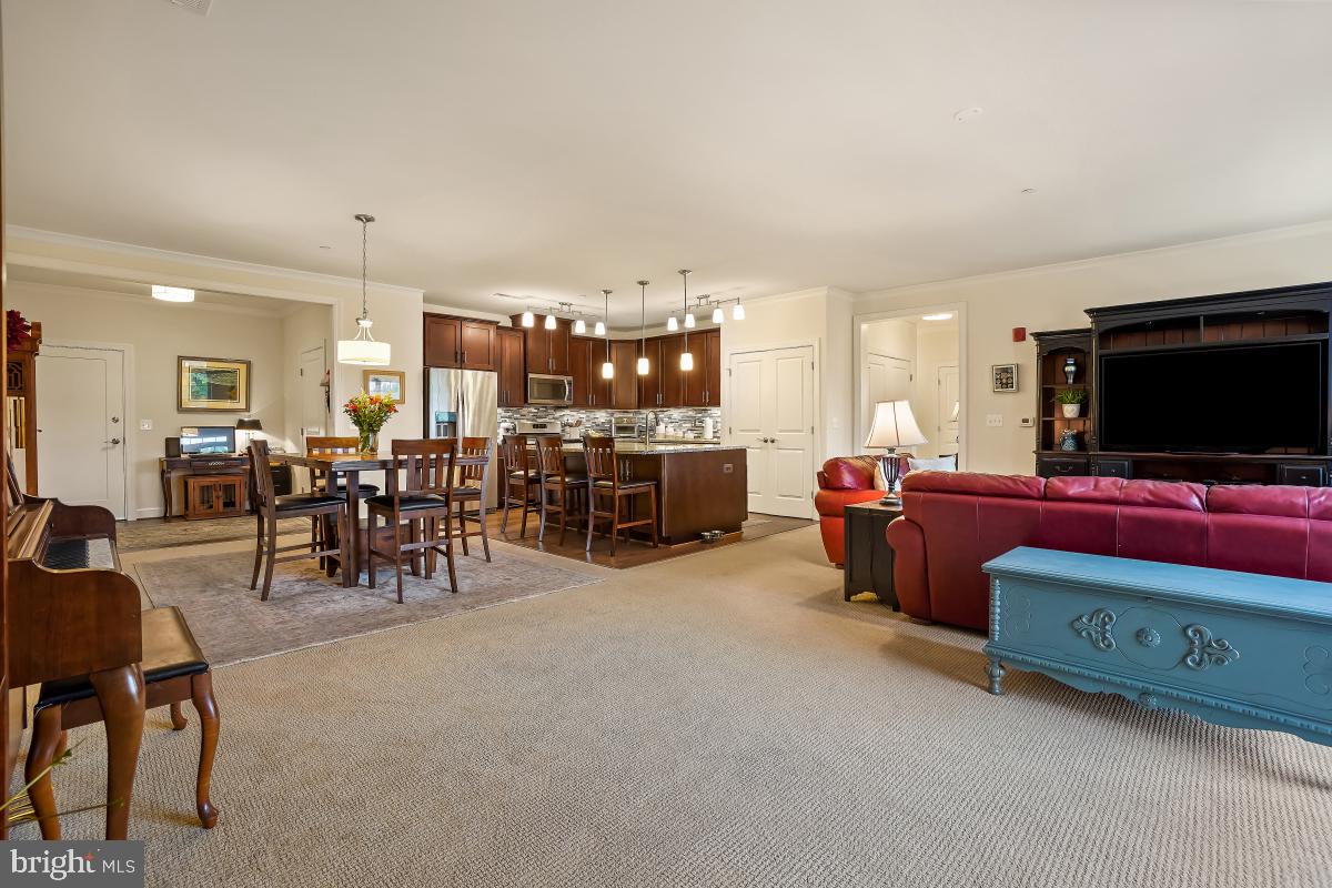 10530 Resort Road, Unit 209 Ellicott City, MD 21042 - Photo 24 of 44 Living Area