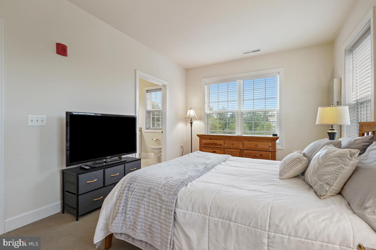 10530 Resort Road, Unit 209 Ellicott City, MD 21042 - Photo 29 of 44 Master Bedroom
