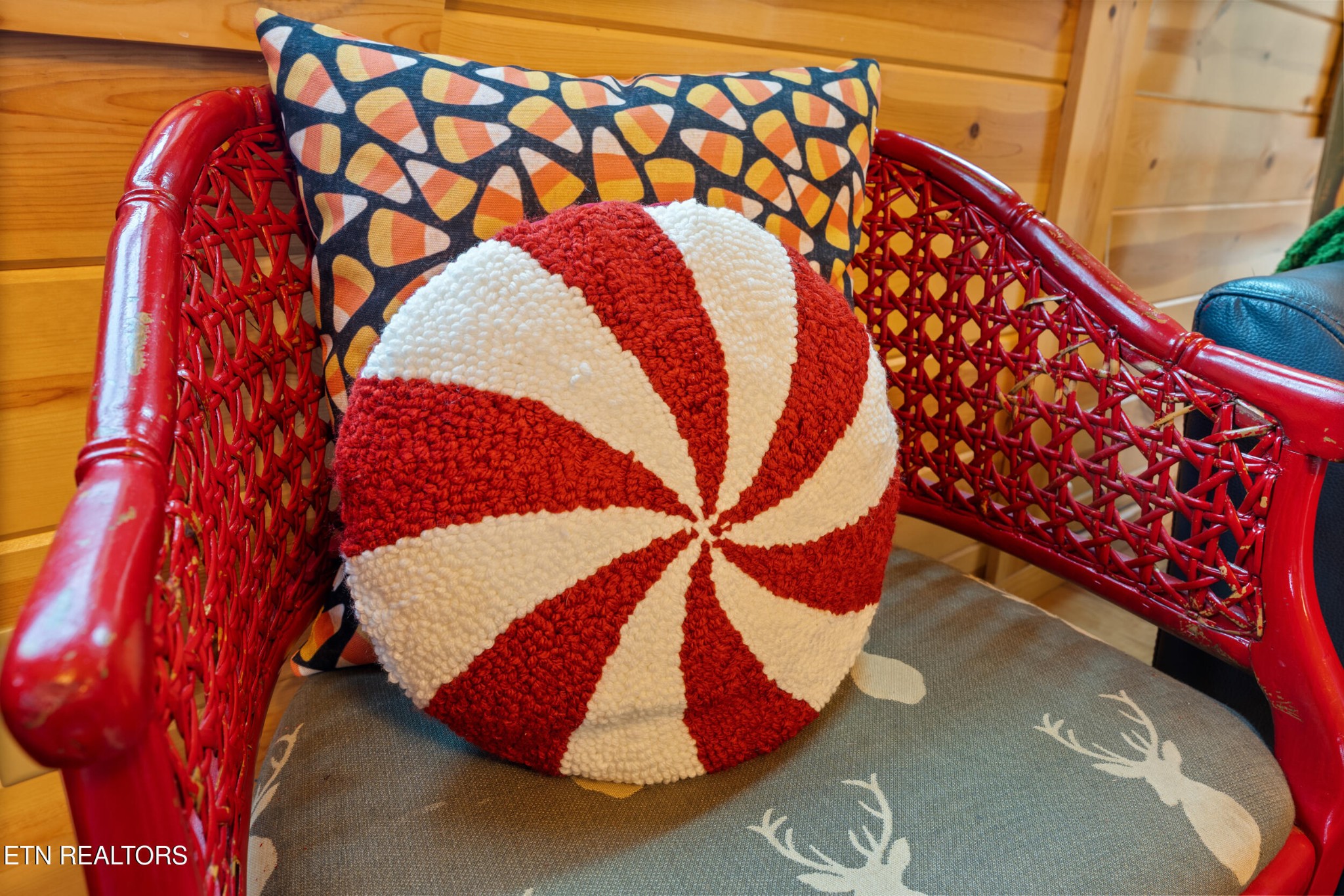 1132 Pinyon Circle Sevierville, TN 37863 - Photo 7 of 25