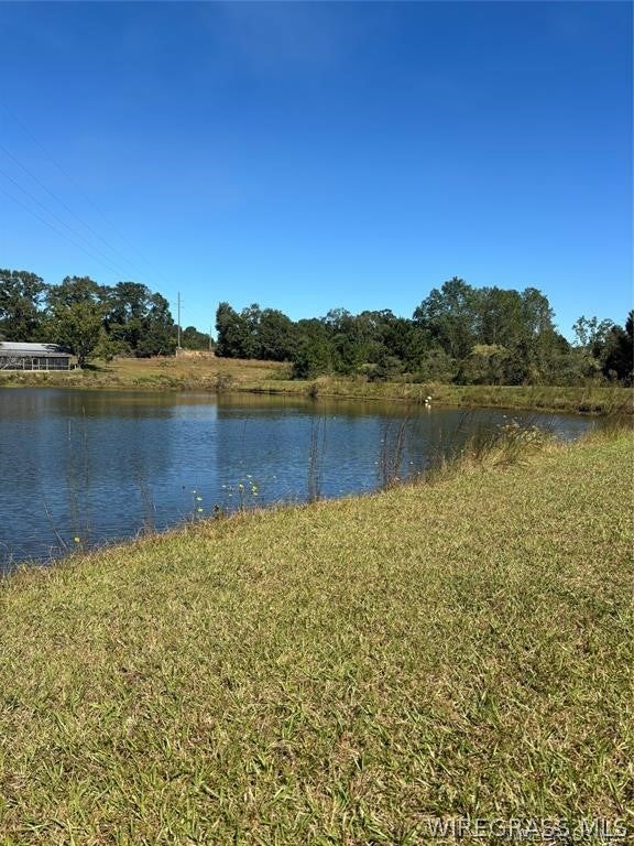 0 Culpepper Road Coffee Springs, AL 36318 - Photo 9 of 23 Gallery Image 9