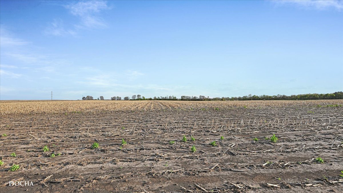 2136 North 34th Road Ottawa, IL 61350 - Photo 44 of 50