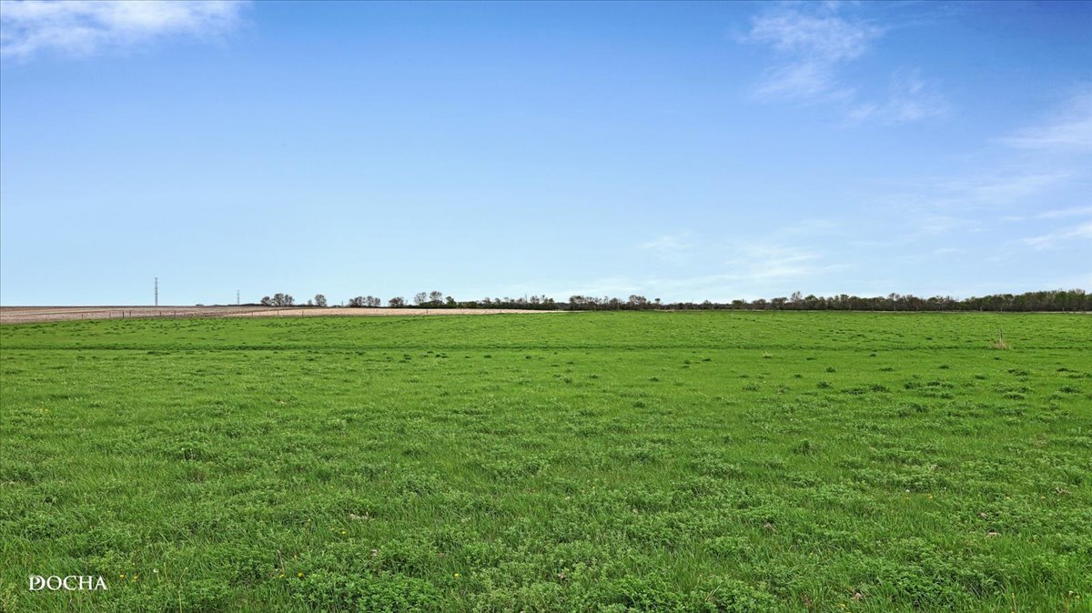 2136 North 34th Road Ottawa, IL 61350 - Photo 46 of 50