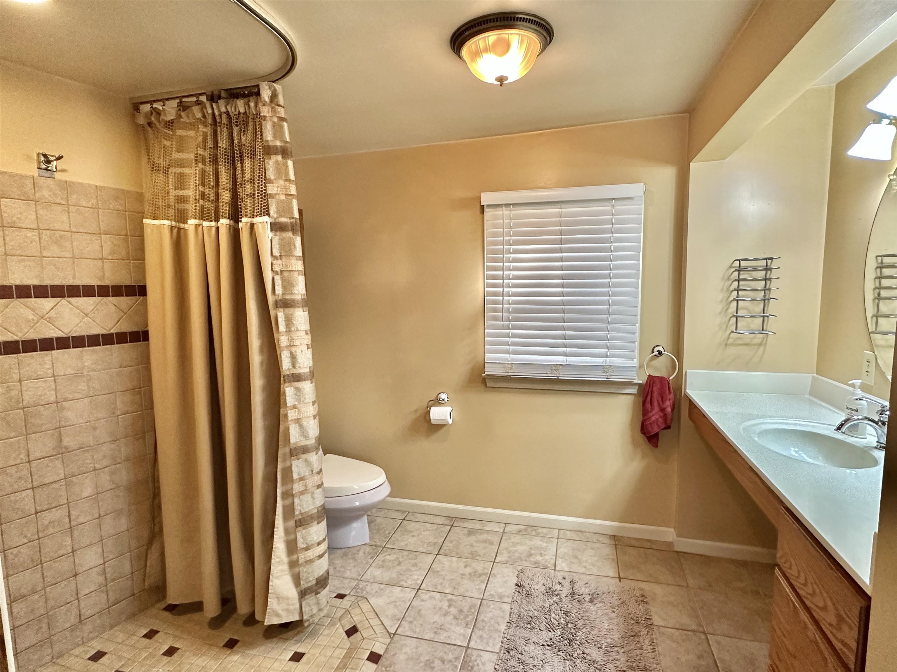 2873 West Neuman Road Rhodes, MI 48652 - Photo 30 of 41