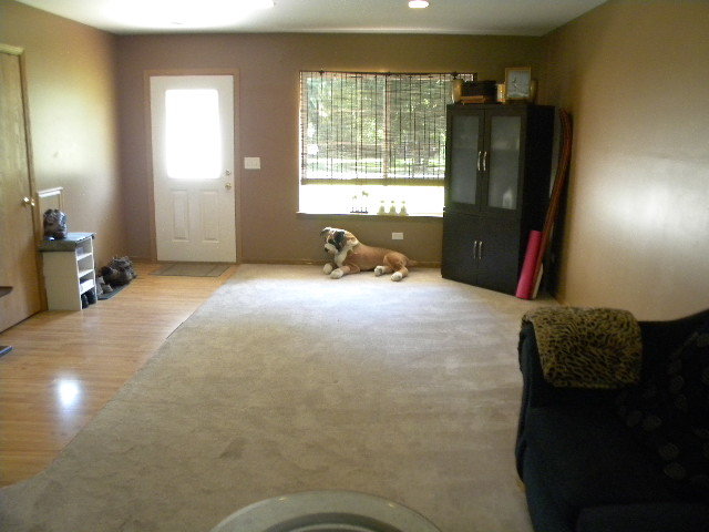 35674 North Helendale Road Ingleside, IL 60041 - Photo 4 of 16