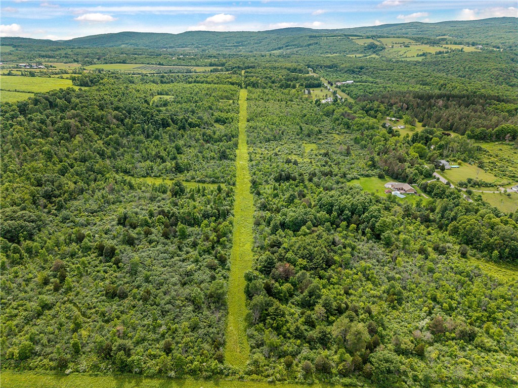 2868 Townsend Road Dix, NY 14891 - Photo 7 of 10