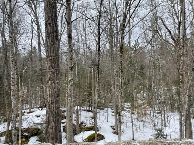 0 Bragdon Road Montville, ME 04941 - Photo 4 of 6 IMG_4564